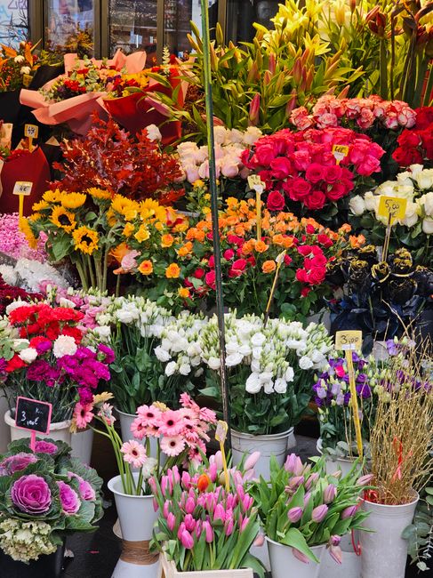 A vibrant display of fresh flowers at a florist shop showcases a variety of blooms arranged in buckets and pots, including pink roses, white tulips, purple lavender, yellow sunflowers, and pink gerber