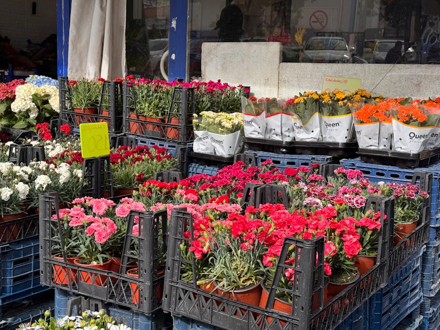 Outdoor display of potted flowering plants arranged on black plastic crates outside floristsouthgate.co.uk, featuring vibrant pink, red, white, orange, and yellow blooms with lush green foliage. The f